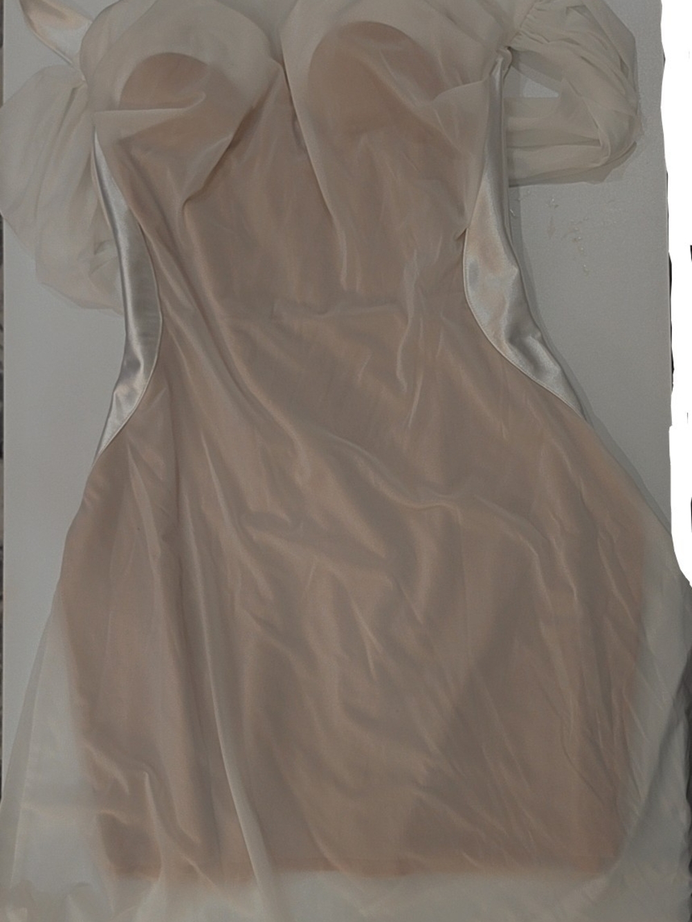 Strapless Nude Organza Mini Dress